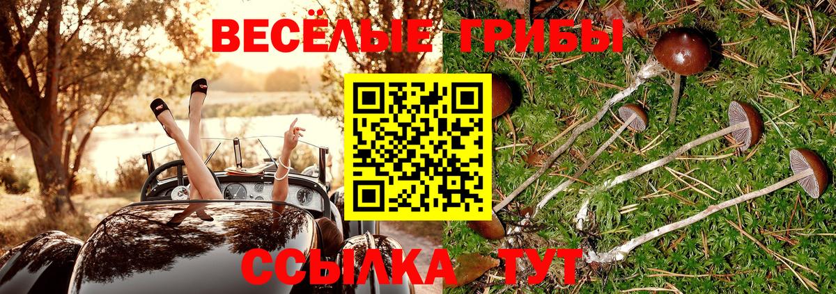 Киселёвск  дарнет шоп  Вход с VPN  Галлюциногенные грибы ЛСД 